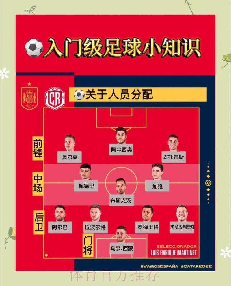 全面解析世界杯投注在线技巧与策略